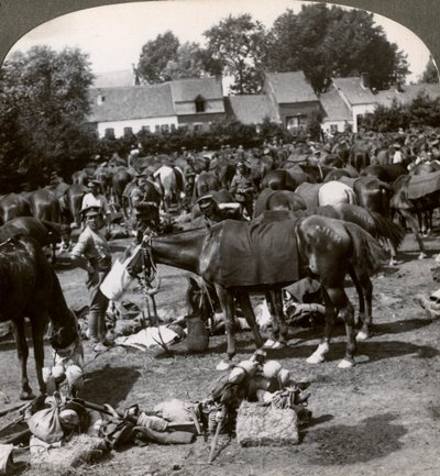 軍隊が馬に餌をやる、そして行進で休む、第一次世界大戦、1914-1918。 作： Realistic Travels Publishers