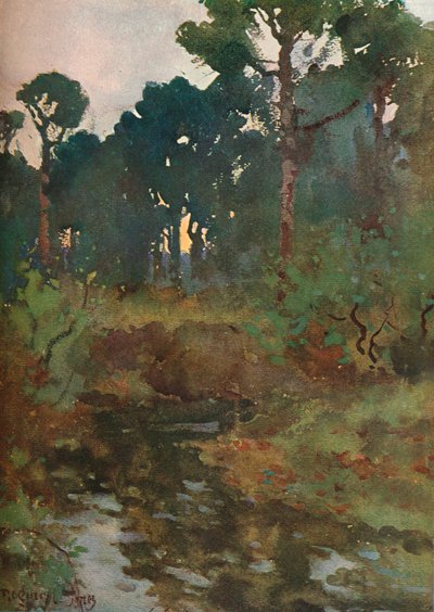 装飾的な景観研究、c1903 1903-1904 作： Reginald Jones