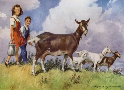 My Farm のイラスト (カラーリソ) 作： Reginald Mills