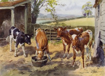My Farm のイラスト (カラーリソ) 作： Reginald Mills