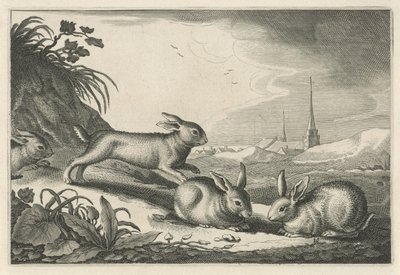 ウサギのいる砂丘の風景 Diversa Animalia Quadrupedia (シリーズタイトル) 作： Reinier van Persijn