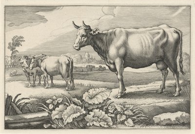 牛のいる牧草地 Diversa Animalia Quadrupedia (シリーズタイトル) 作： Reinier van Persijn
