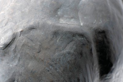 頭を下げた大きなキリン、モデル1909-10、1913年以前に鋳造（ブロンズ）（3084917-43も参照） 作： Rembrandt Bugatti