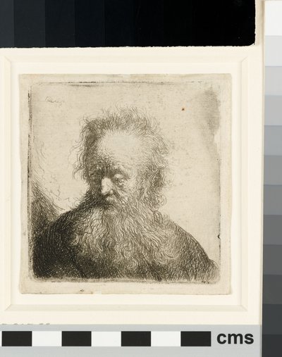流れるひげを持つ老人：バスト 作： Rembrandt van Rijn