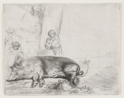豚 作： Rembrandt van Rijn