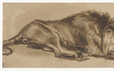 眠っているライオンの習作 作： Rembrandt van Rijn (copy after)