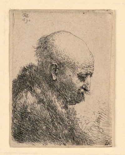 横顔右の禿げ頭の男性: 小さなバスト。 アーティストの父？ 作： Rembrandt van Rijn
