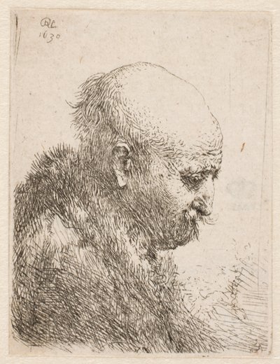  作： Rembrandt van Rijn