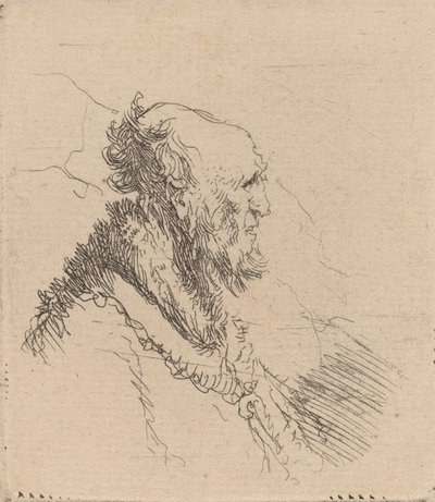 横顔に短いあごひげを生やした禿げた老人、c。 1635年。 作： Rembrandt van Rijn