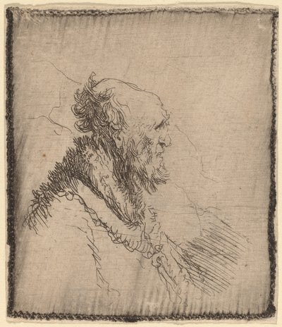 横顔に短いあごひげを生やした禿げた老人、c。 1635年。 作： Rembrandt van Rijn
