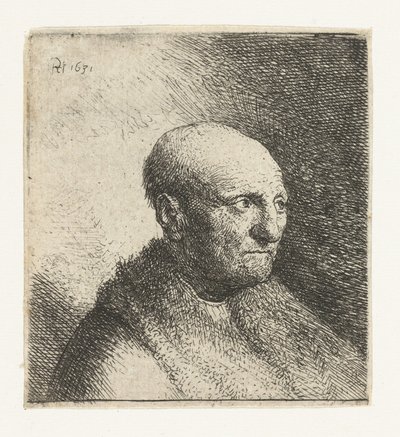 毛皮のマントのハゲ男: バスト 作： Rembrandt van Rijn