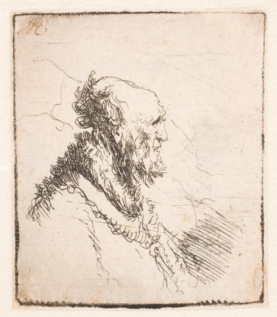 短いあごひげを生やした禿げた老人、横顔右 作： Rembrandt van Rijn