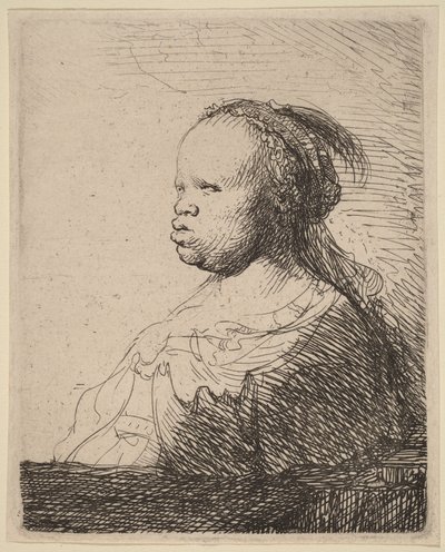  作： Rembrandt van Rijn