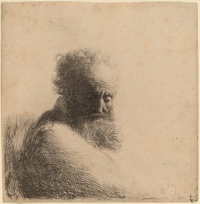 ひげを生やした老人の胸像、見下ろして、4 分の 3 右 作： Rembrandt van Rijn