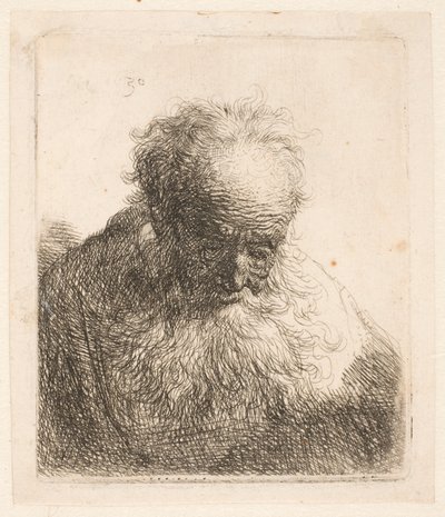  作： Rembrandt van Rijn