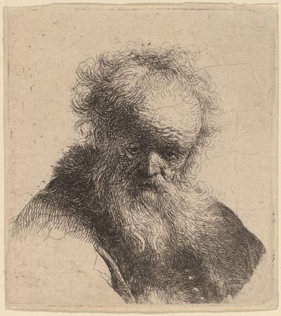 流れるようなひげと白い袖の老人のバスト 作： Rembrandt van Rijn