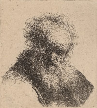 流れるひげと白い袖の老人の胸像、c。 1630年。 作： Rembrandt van Rijn