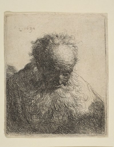ひげが流れる老人の胸像：頭が前に曲がった：左肩の陰影なし、1630。 作： Rembrandt van Rijn