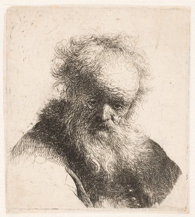 作： Rembrandt van Rijn
