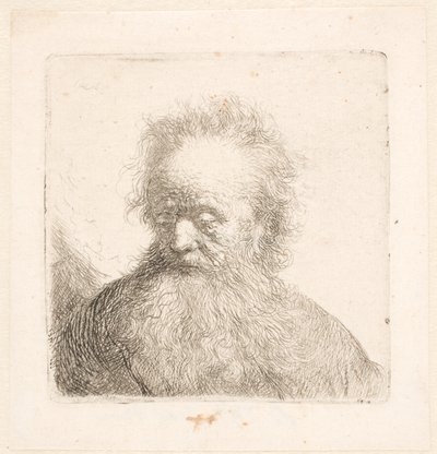  作： Rembrandt van Rijn