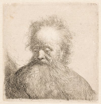  作： Rembrandt van Rijn