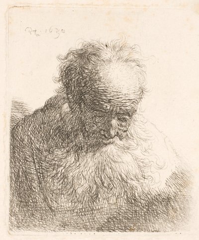  作： Rembrandt van Rijn