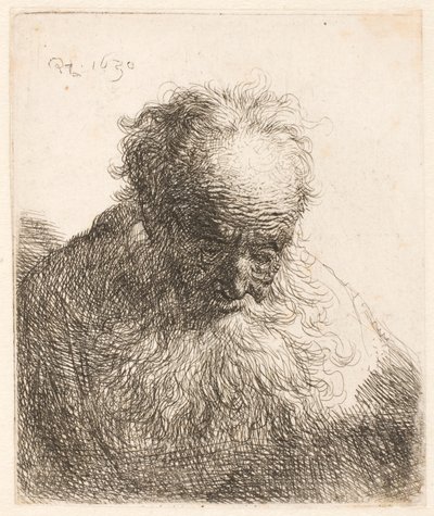 作： Rembrandt van Rijn