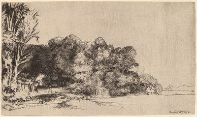 ビスタ付きの木々の群生 作： Rembrandt van Rijn