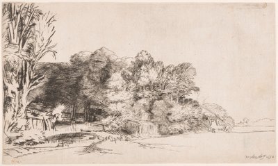 ビスタ付きの木々の群生 作： Rembrandt van Rijn