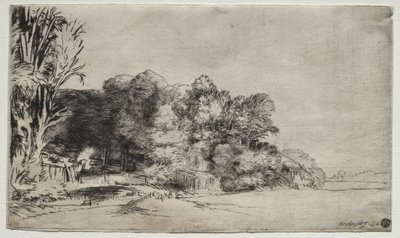 ビスタ付きの木々の群生 作： Rembrandt van Rijn