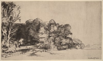 眺めの良い木々の群れ 作： Rembrandt van Rijn