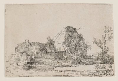  作： Rembrandt van Rijn