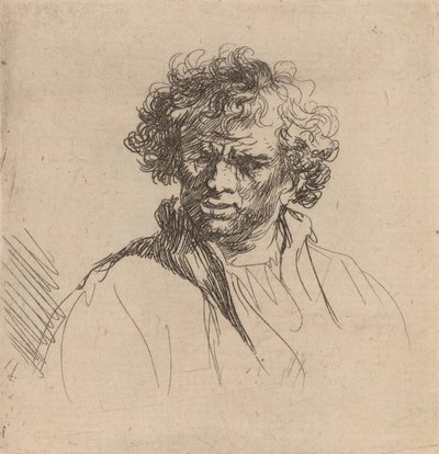 しかめっ面の巻き毛の男、c。 1635年。 作： Rembrandt van Rijn