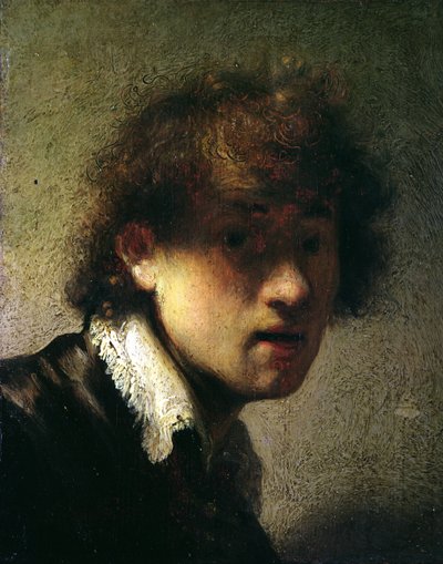 若い男の頭または自画像、1629 作： Rembrandt van Rijn