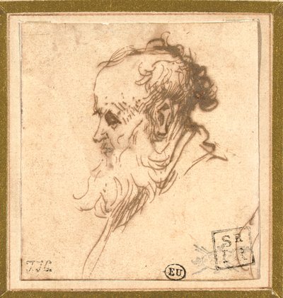 左側の横顔のひげを生やした男の頭 作： Rembrandt van Rijn