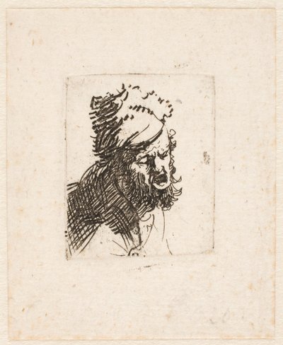  作： Rembrandt van Rijn