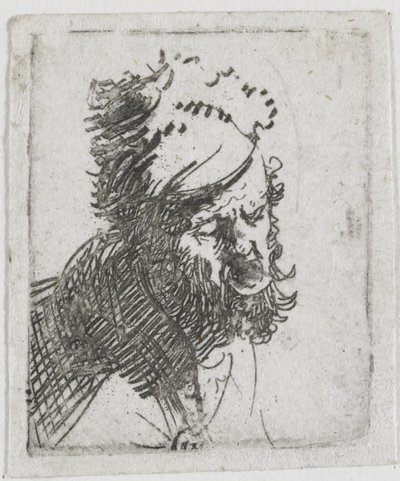 作： Rembrandt van Rijn