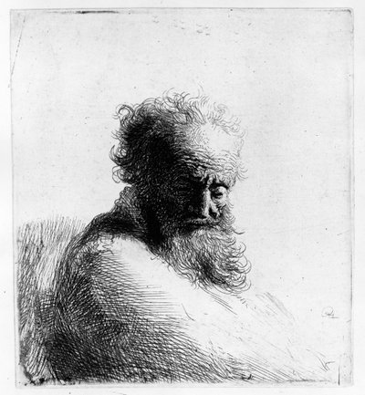 老人の頭、1631 作： Rembrandt van Rijn
