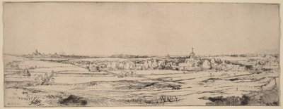 ハーレムを望む風景（金細工師の野原） 作： Rembrandt van Rijn