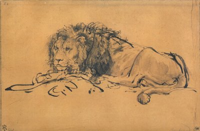 ライオン休憩、左を向いて、c1650 作： Rembrandt van Rijn