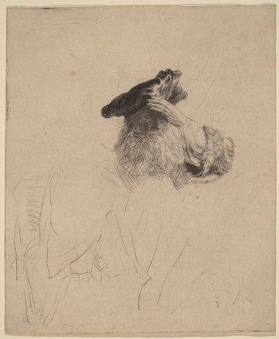  作： Rembrandt van Rijn