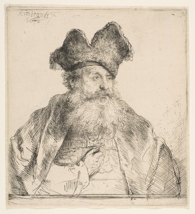 分割された毛皮の帽子を持つ老人、1640年。 作： Rembrandt van Rijn