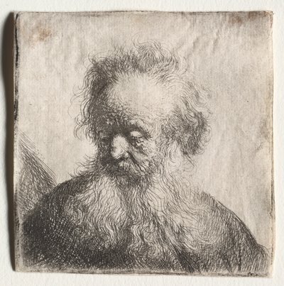 流れるひげの老人：バスト、1631年。 作： Rembrandt van Rijn