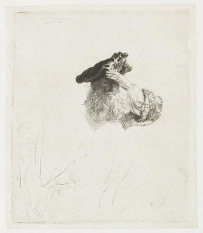  作： Rembrandt van Rijn