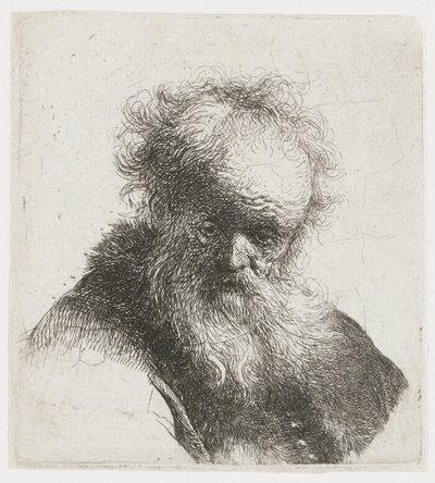  作： Rembrandt van Rijn
