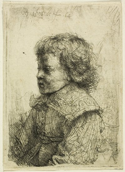 少年の肖像 作： Rembrandt van Rijn