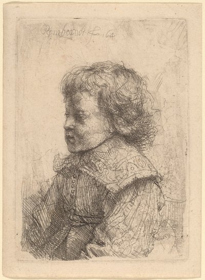 プロフィールの少年の肖像 作： Rembrandt van Rijn