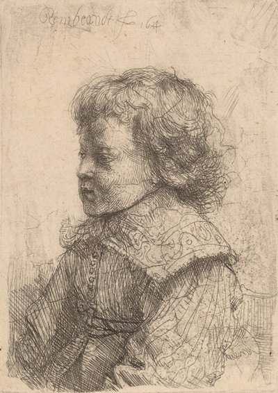 横顔の少年の肖像、1641年。 作： Rembrandt van Rijn