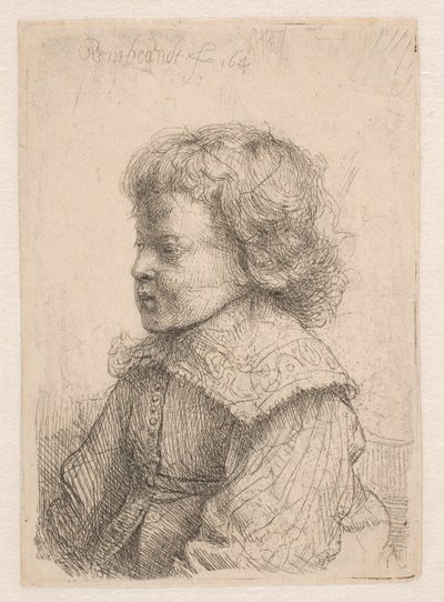 少年の横顔の肖像画 作： Rembrandt van Rijn