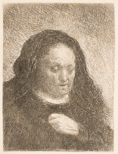  作： Rembrandt van Rijn